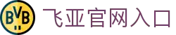 飞亚 (FIYA)官方网站 · 运动新境界 · B3X9 - 官方资料中心